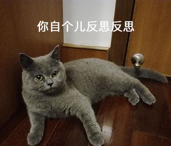 DƬ